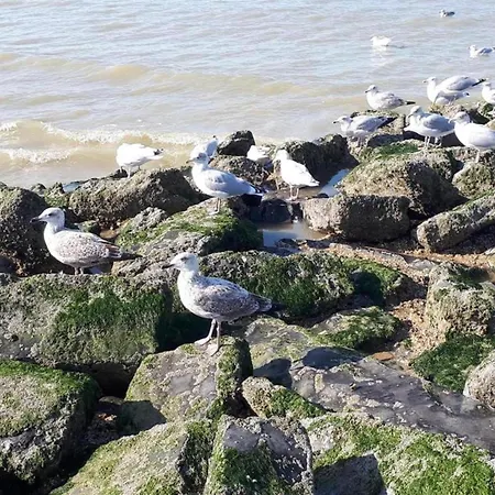 In Near Sandy Appartement