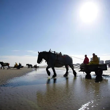 In Near Sandy * Nieuwpoort