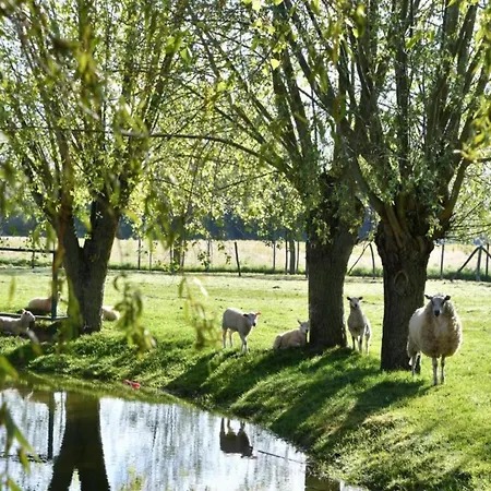 In Near Sandy Appartement *