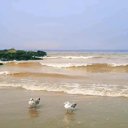 In Near Sandy *
