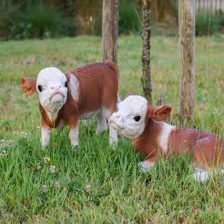 In Near Sandy Nieuwpoort