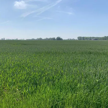 In Near Sandy Lägenhet