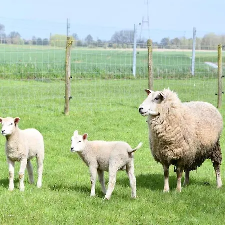 In Near Sandy Lägenhet Nieuwpoort