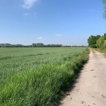 Lägenhet In Near Sandy *