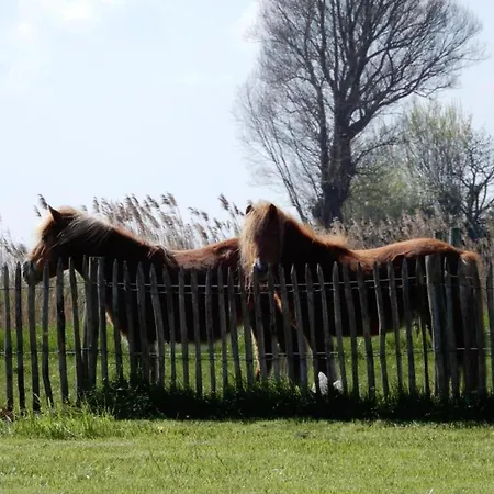 Lägenhet In Near Sandy Nieuwpoort