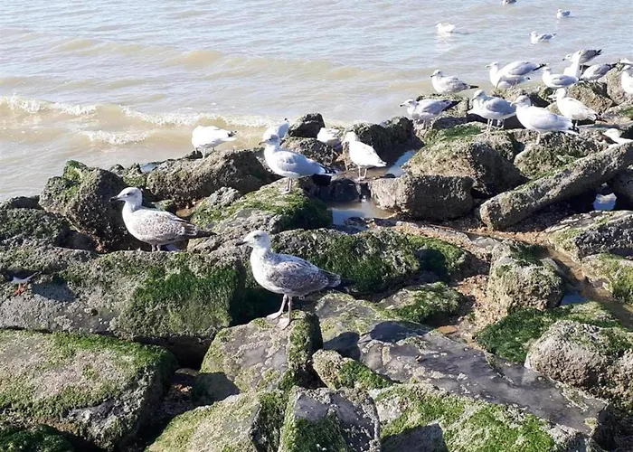 In Near Sandy Appartement