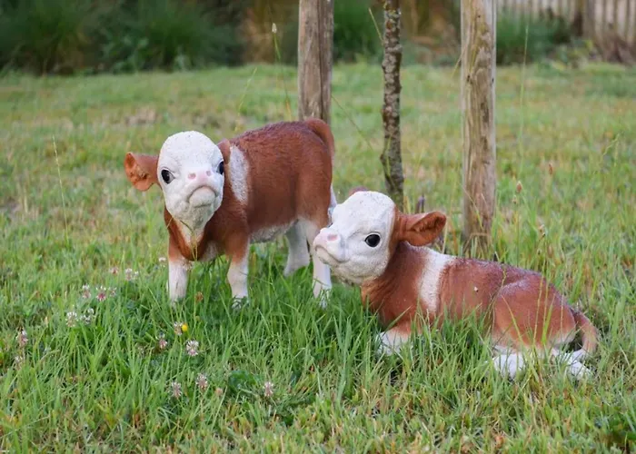 In Near Sandy Nieuport