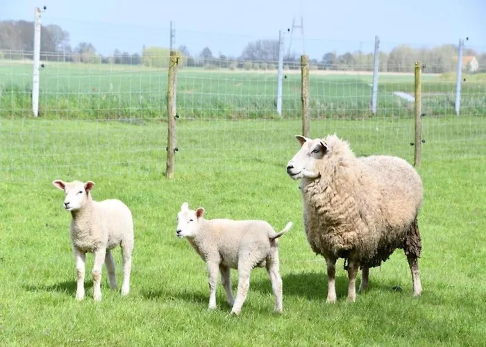 In Near Sandy Appartement Nieuport