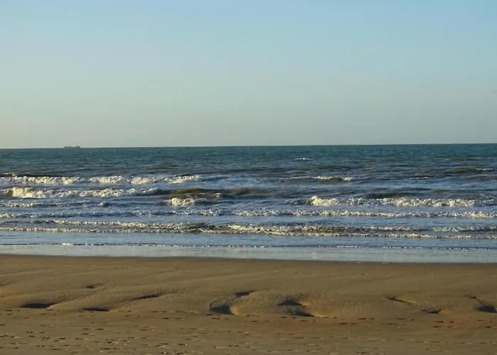 In Near Sandy Nieuport