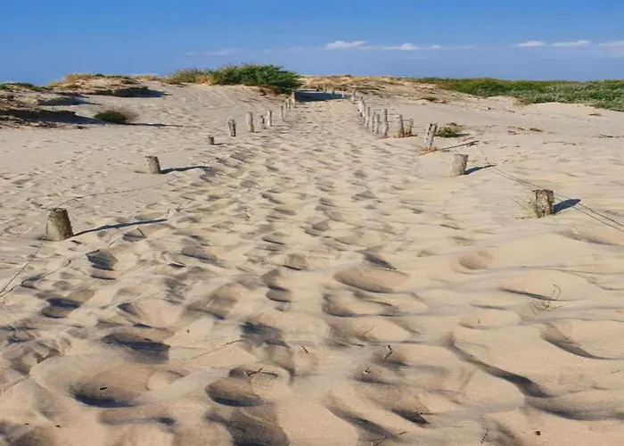 In Near Sandy Appartement