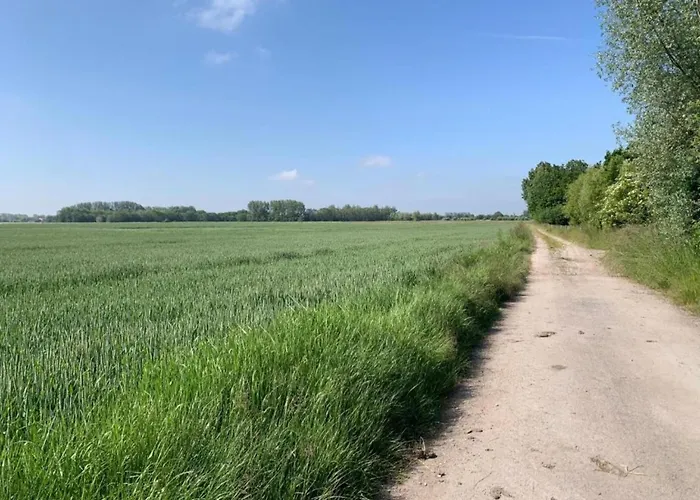 Appartement In Near Sandy *